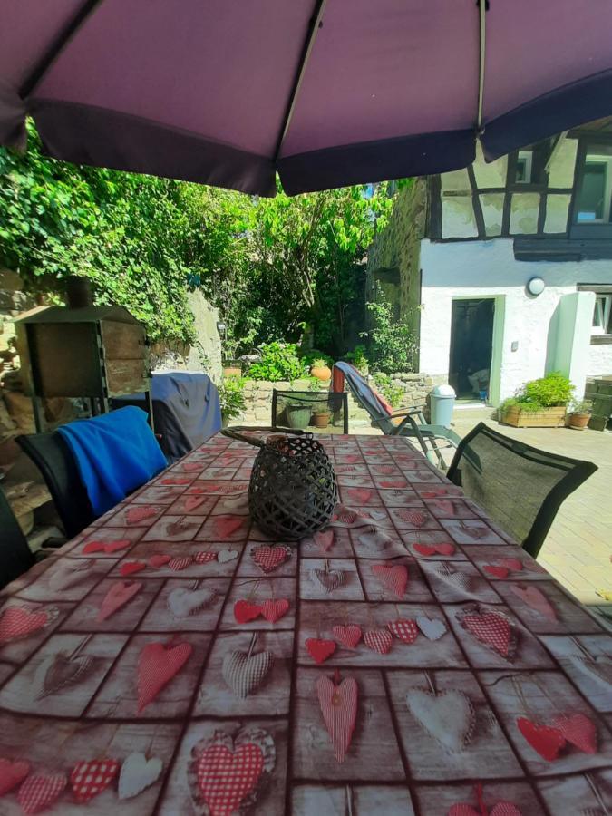 Studio Tout Confort 2 Personnes Au Coeur De L'Alsace Wolxheim Ngoại thất bức ảnh