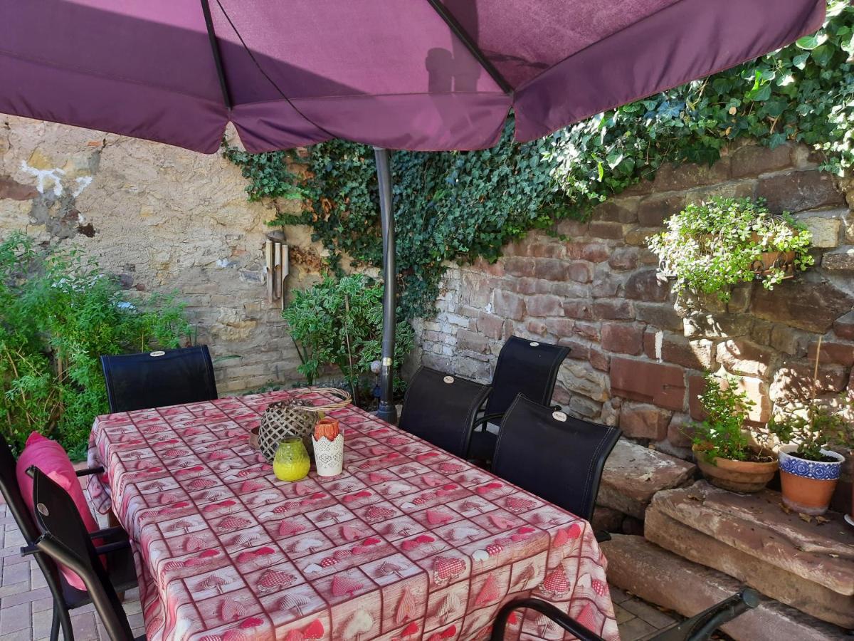 Studio Tout Confort 2 Personnes Au Coeur De L'Alsace Wolxheim Ngoại thất bức ảnh