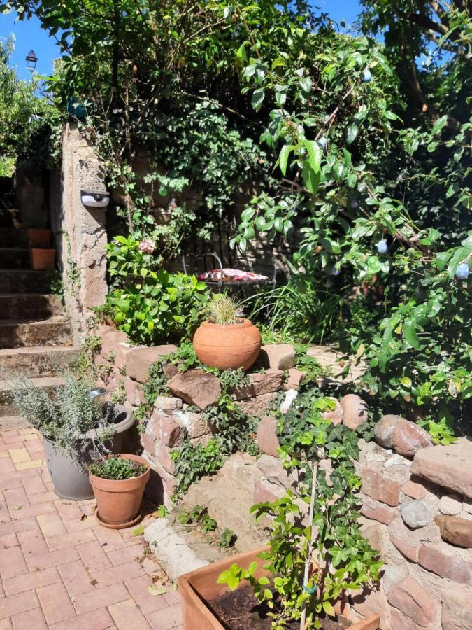 Studio Tout Confort 2 Personnes Au Coeur De L'Alsace Wolxheim Ngoại thất bức ảnh