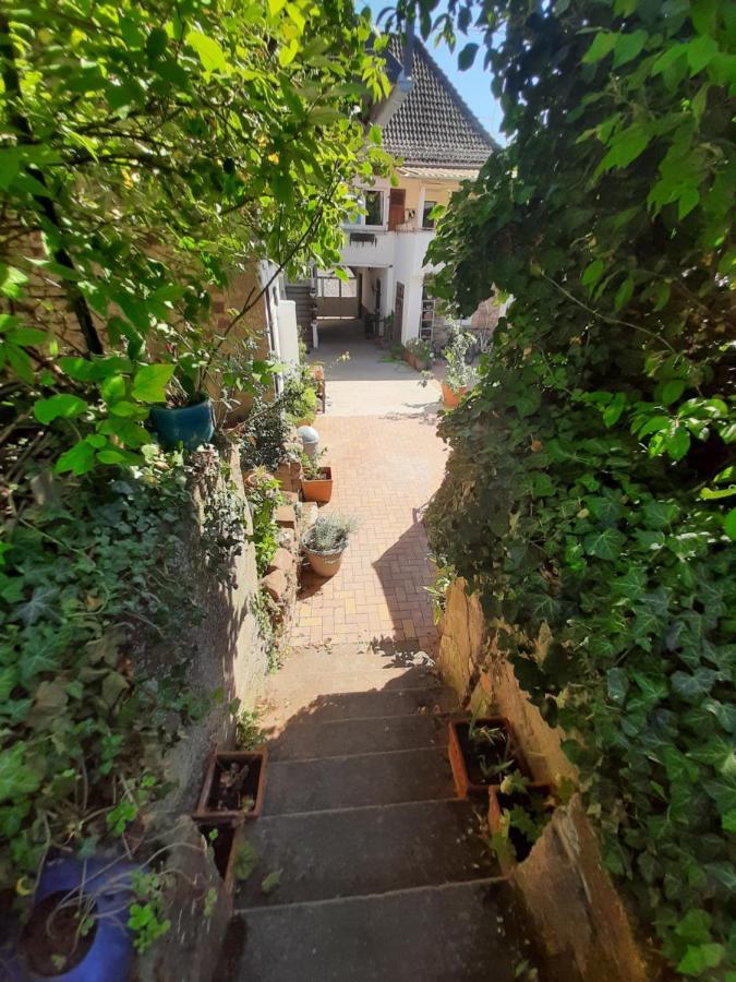 Studio Tout Confort 2 Personnes Au Coeur De L'Alsace Wolxheim Ngoại thất bức ảnh
