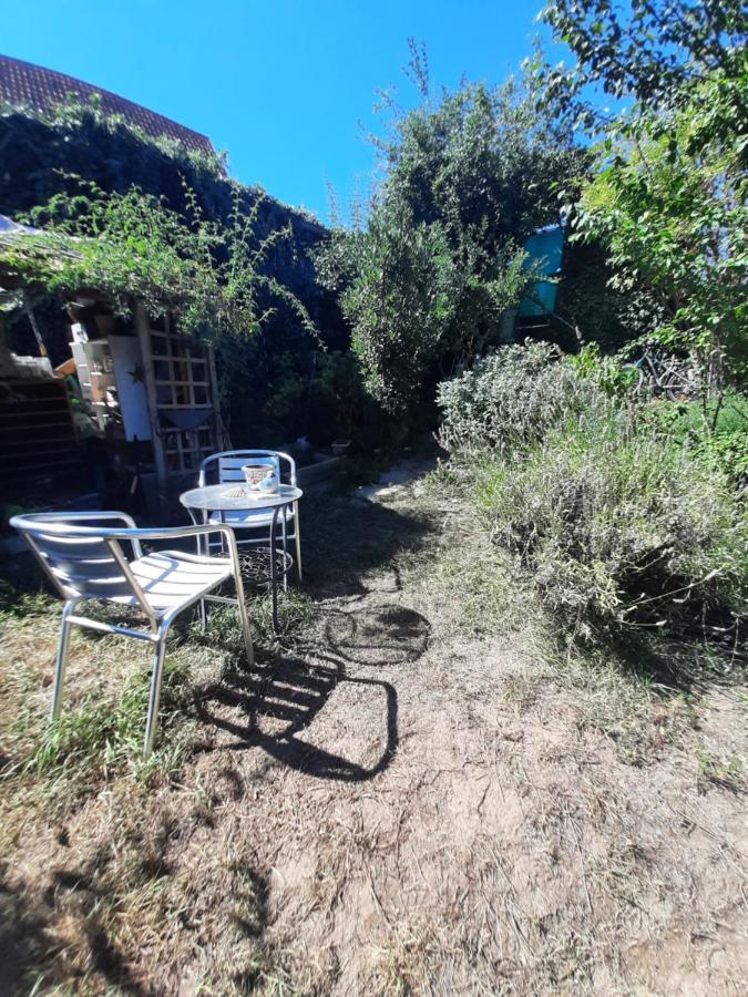 Studio Tout Confort 2 Personnes Au Coeur De L'Alsace Wolxheim Ngoại thất bức ảnh