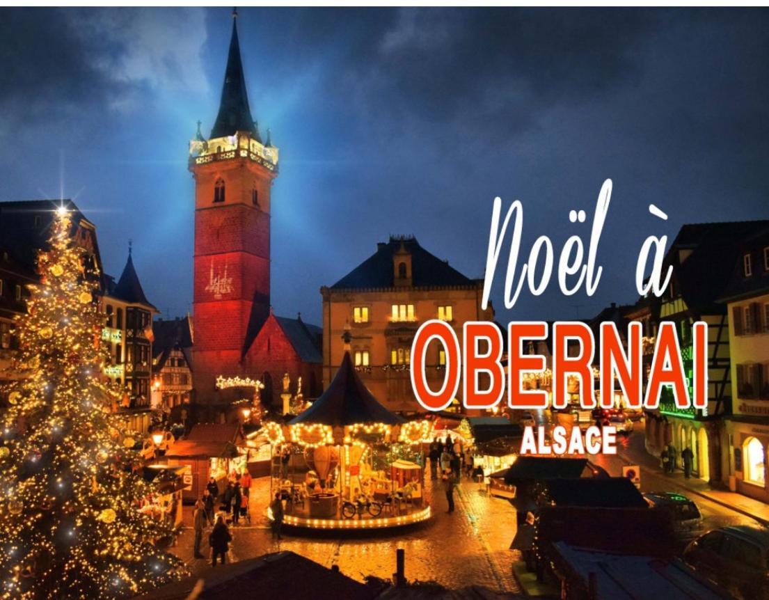 Studio Tout Confort 2 Personnes Au Coeur De L'Alsace Wolxheim Ngoại thất bức ảnh