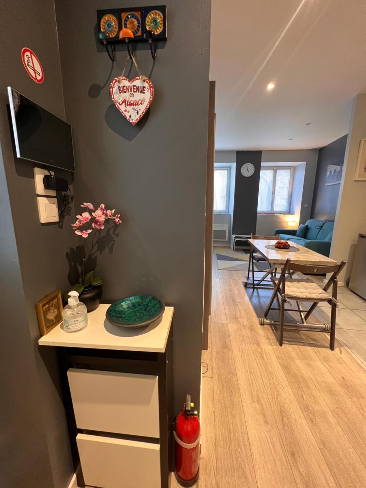 Studio Tout Confort 2 Personnes Au Coeur De L'Alsace Wolxheim Ngoại thất bức ảnh