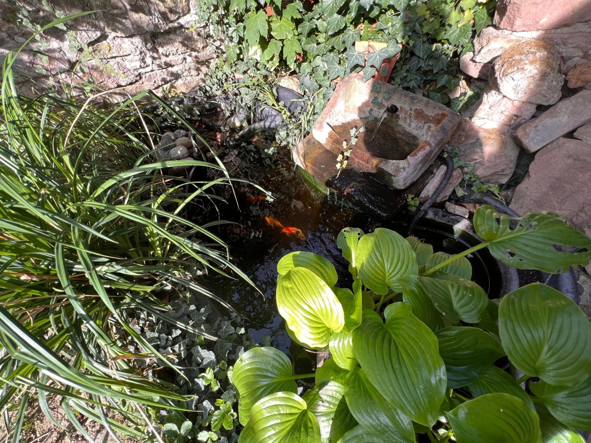Studio Tout Confort 2 Personnes Au Coeur De L'Alsace Wolxheim Ngoại thất bức ảnh